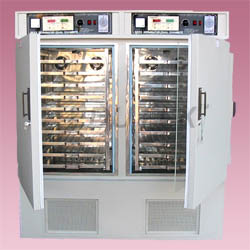 SEED GERMINATOR